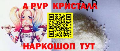 молекула духа Ставрополь