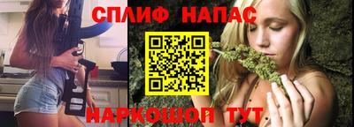 молекула духа Ставрополь
