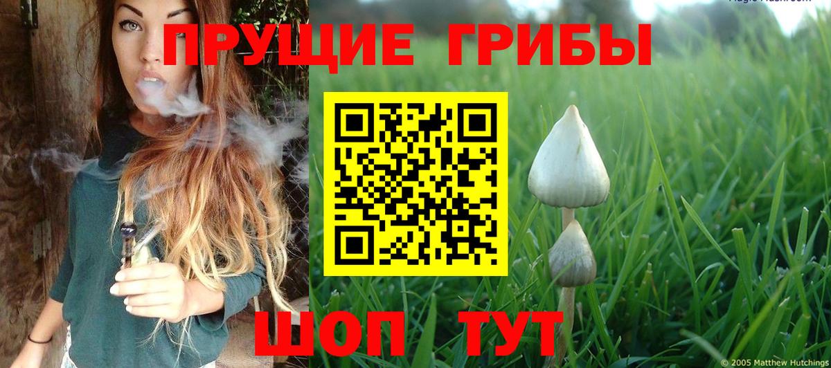 Галлюциногенные грибы ЛСД  Вход с VPN  Галлюциногенные грибы прущие грибы  Павлово 